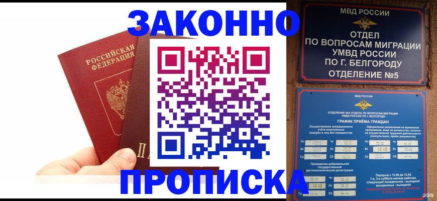 временная регистрация для школы в Благовещенске